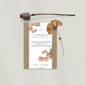Erteblomst ‘Mammoth Salmon Cream’