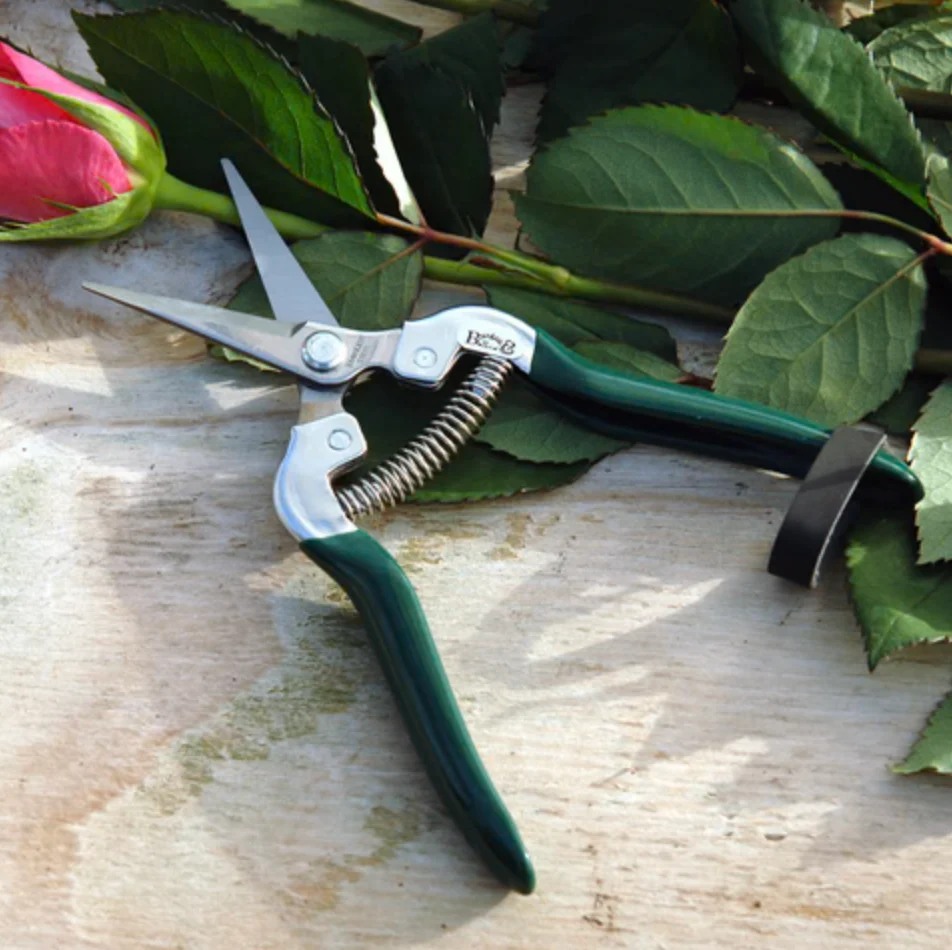 Flower & Fruit Snip