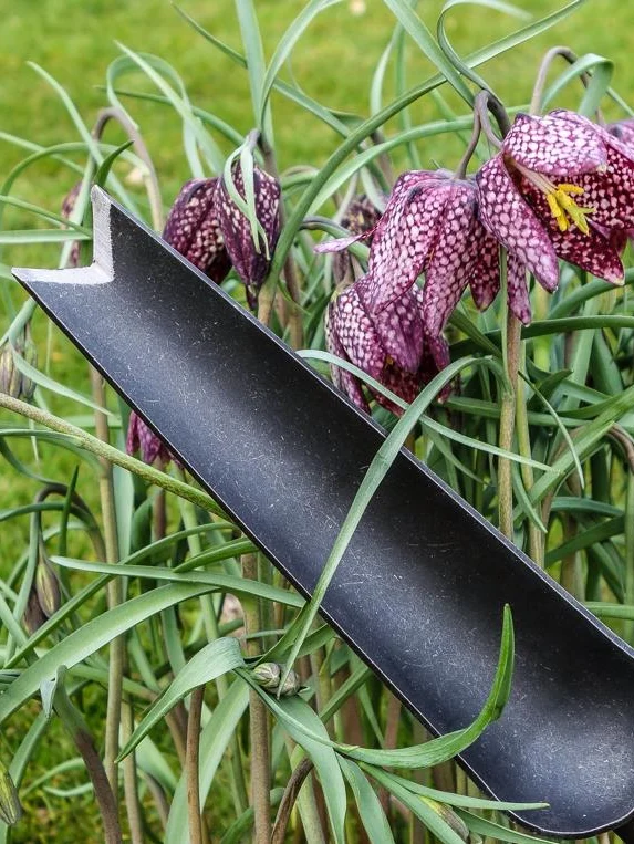 Ormetunge Spade
