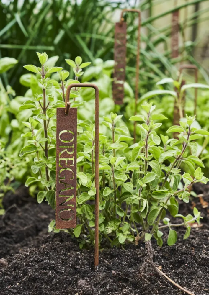 Plantepinne – Rosmarin