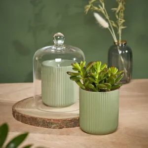 Urban Gardener – Glassklokke
