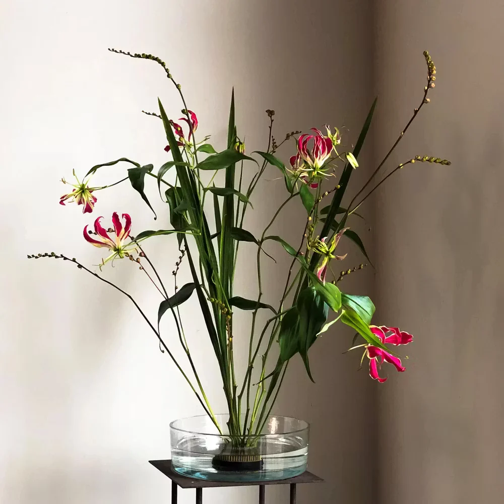 Blomsterfakir 70 mm – Klassisk kenzan