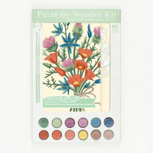 California Wildflowers – Paint Numbers