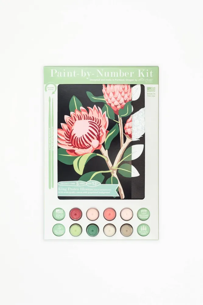 King Protea Blooms – Paint Numbers