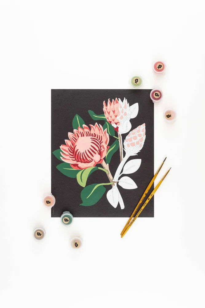 King Protea Blooms – Paint Numbers