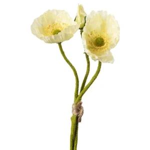 Valmue bunt – Cream