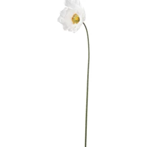 Valmue - Cream