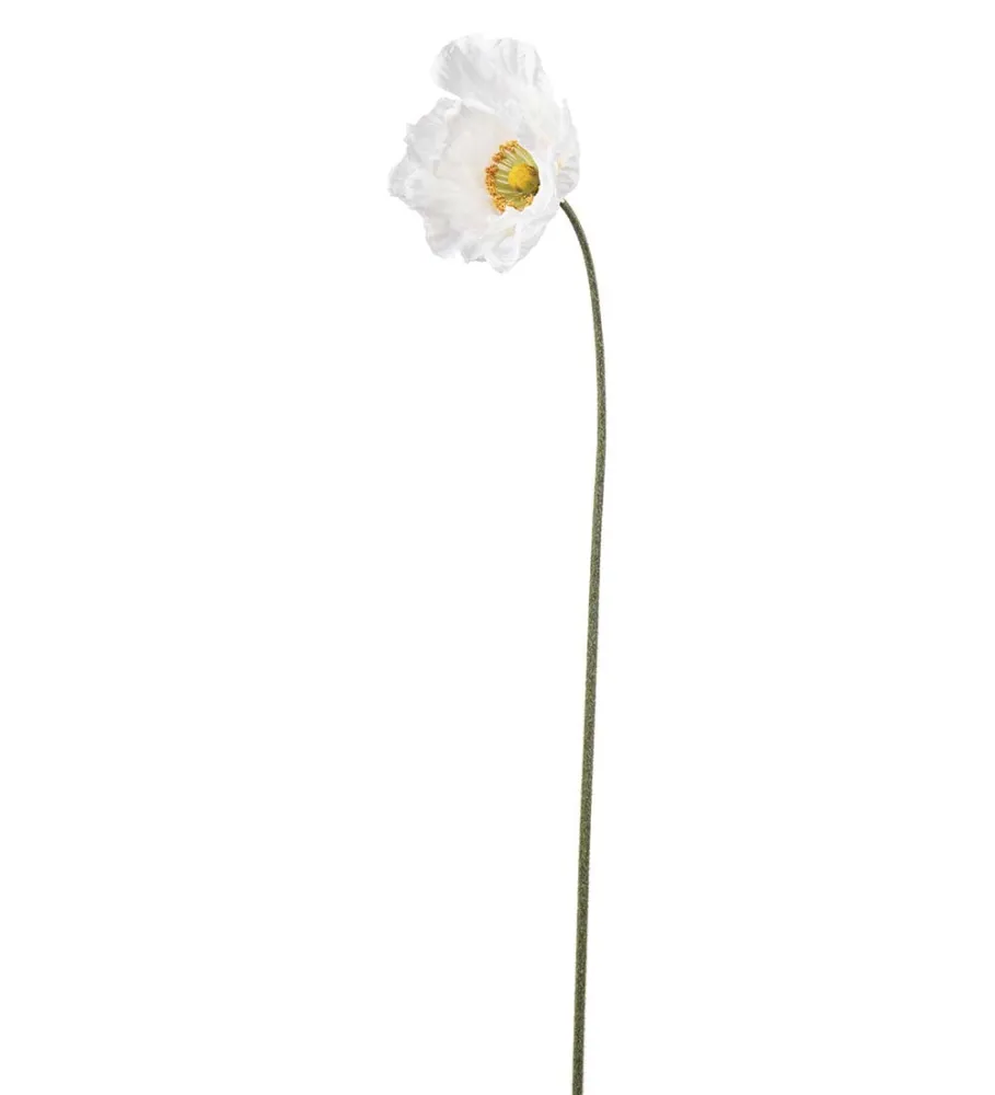 Valmue - Cream