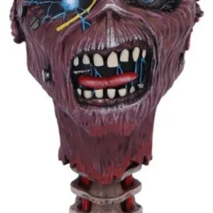 Iron Maiden Goblet Can I Play Madness