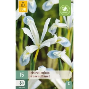Iris ‘Frozen Planet’ – Tidligblomstrende dvergiris i hvitt og blått (15 blomsterløk)