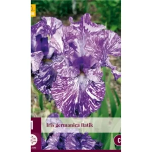 Iris ‘ Germanica Batik’ | 1 barrotsstaude
