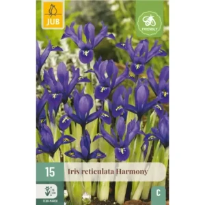 Iris ‘Harmony’ – Dypblå dvergiris potter og tidlig blomstring (15 blomsterløk)