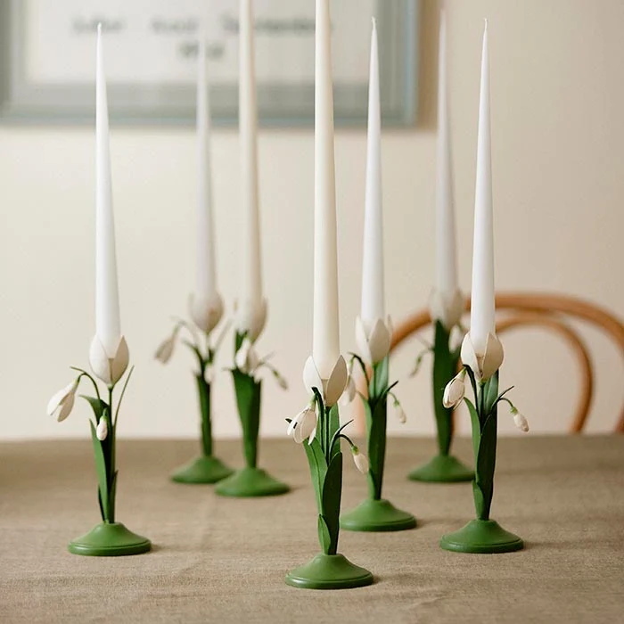 Lysestake Snowdrop Ivy