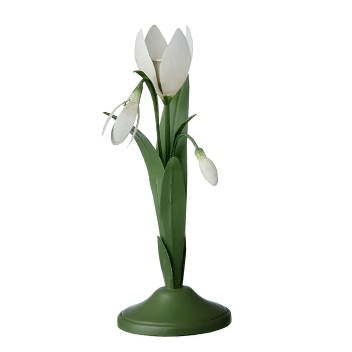 Lysestake Snowdrop Ivy