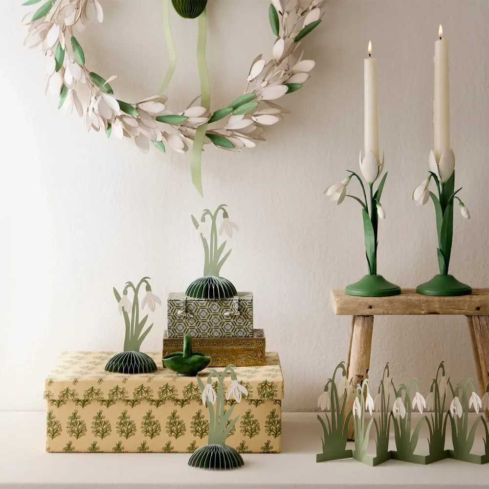 Lysestake Snowdrop Ivy