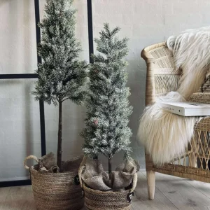 Pinetree MIX - 106 cm