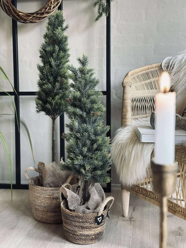 Pinetree MIX - 106 cm