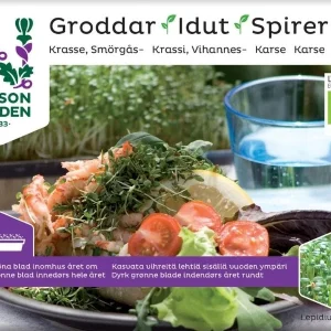 Økologisk Krydder Karse
