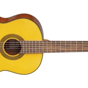 Takamine GC1-Night Classic Spanish Guitar (Nature)
