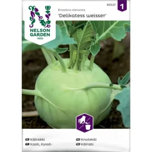 Knutekål 'Delikatess Weisser' – Sprø og Delikat Rotfrukt