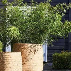 Kjempe Hagekrukke Natur / sement H80cm