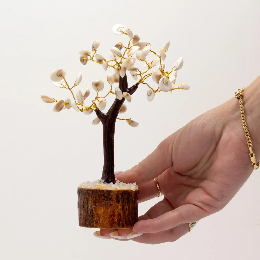 Gomati chakra steintre, 60 steiner trebase
