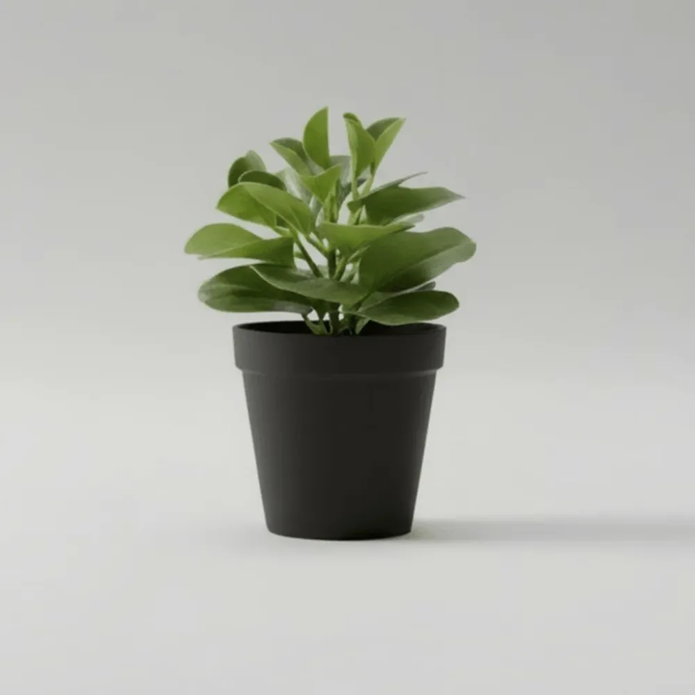 Kunstplante sukkulent potte 15 x 21 cm