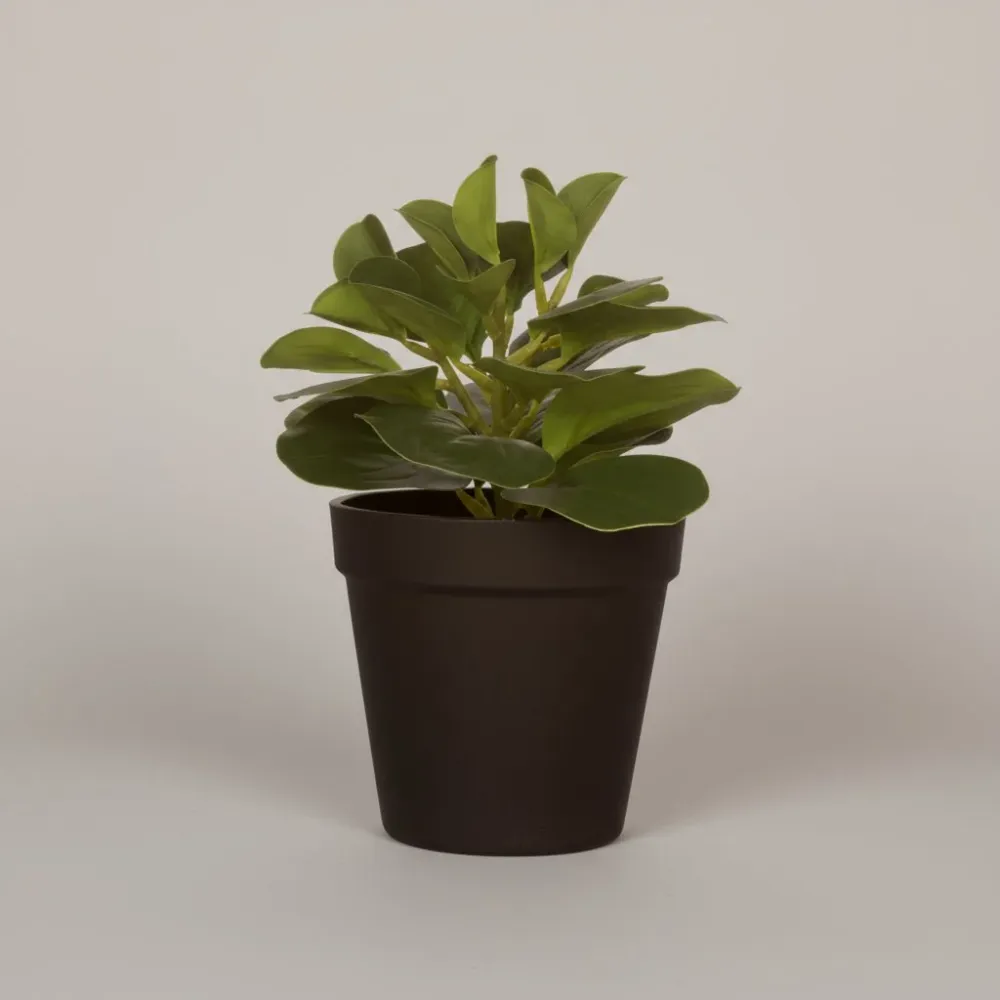 Kunstplante sukkulent potte 15 x 21 cm