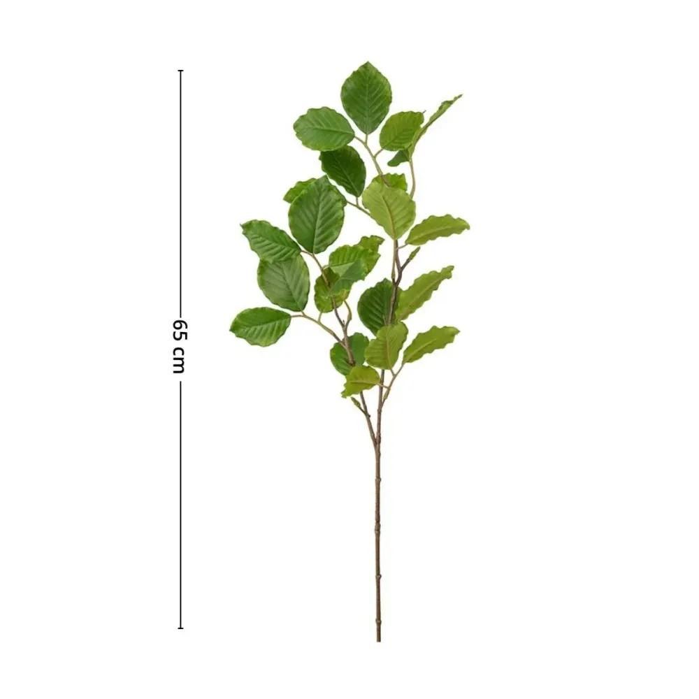 Mr. Plant bøk