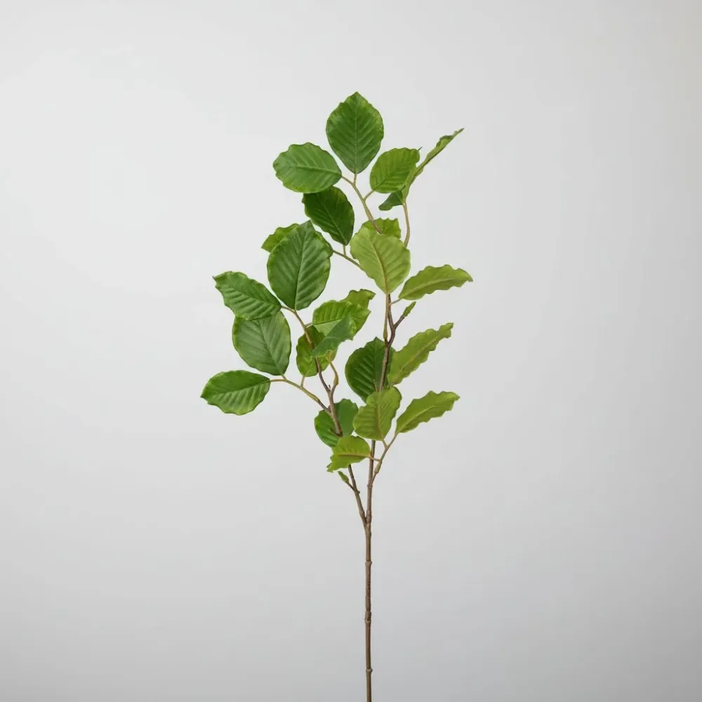 Mr. Plant bøk