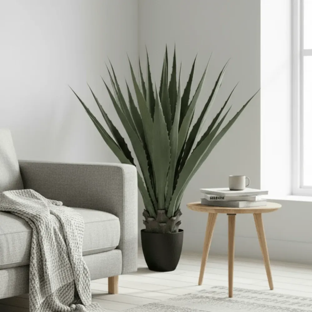 Mr. Plant agave