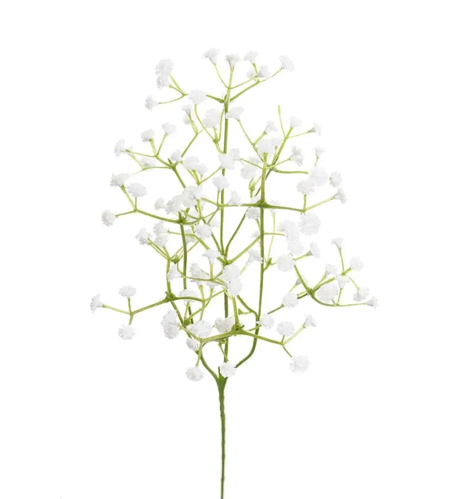 Mr. Plant brudeslør