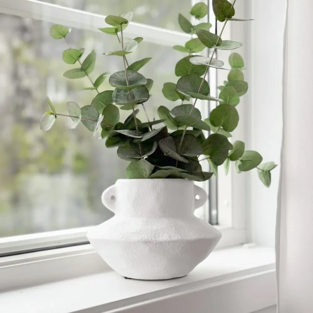Mr. Plant Eucalyptus 60 cm