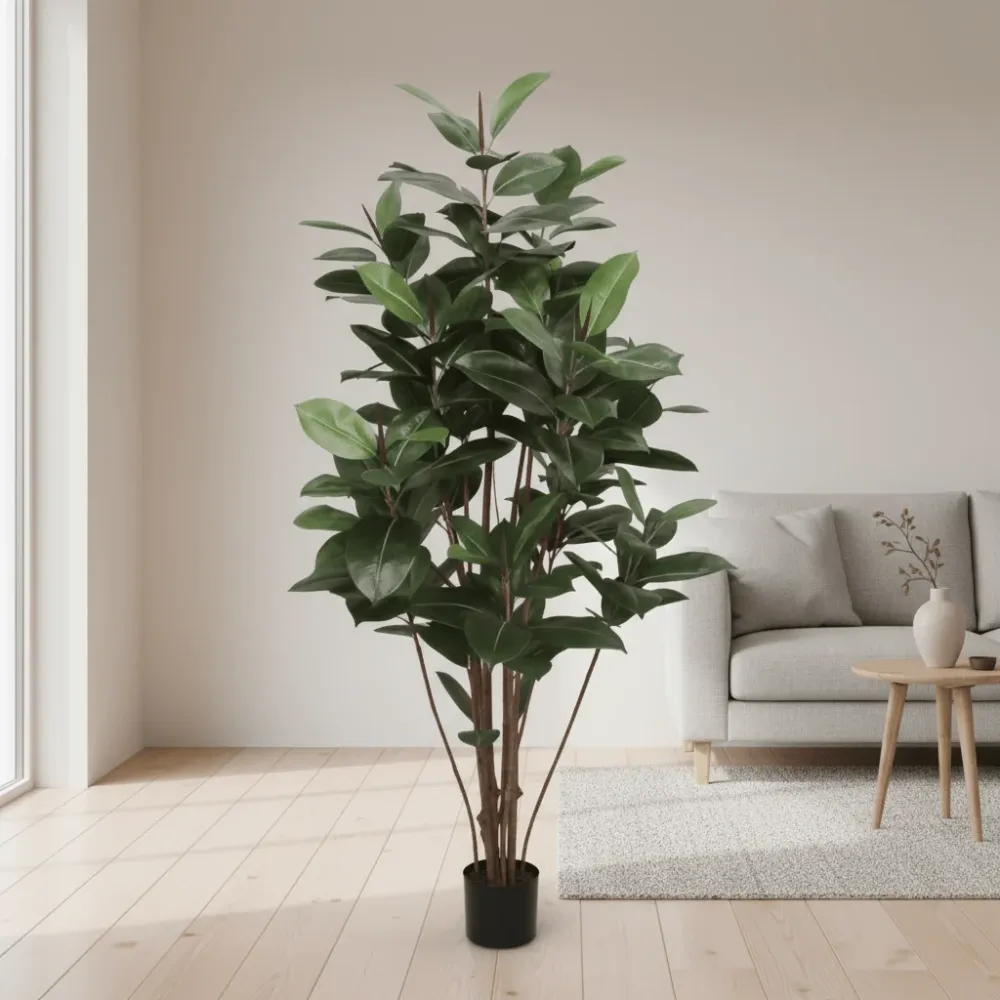 Mr. Plant Fikus Robusta 180 cm