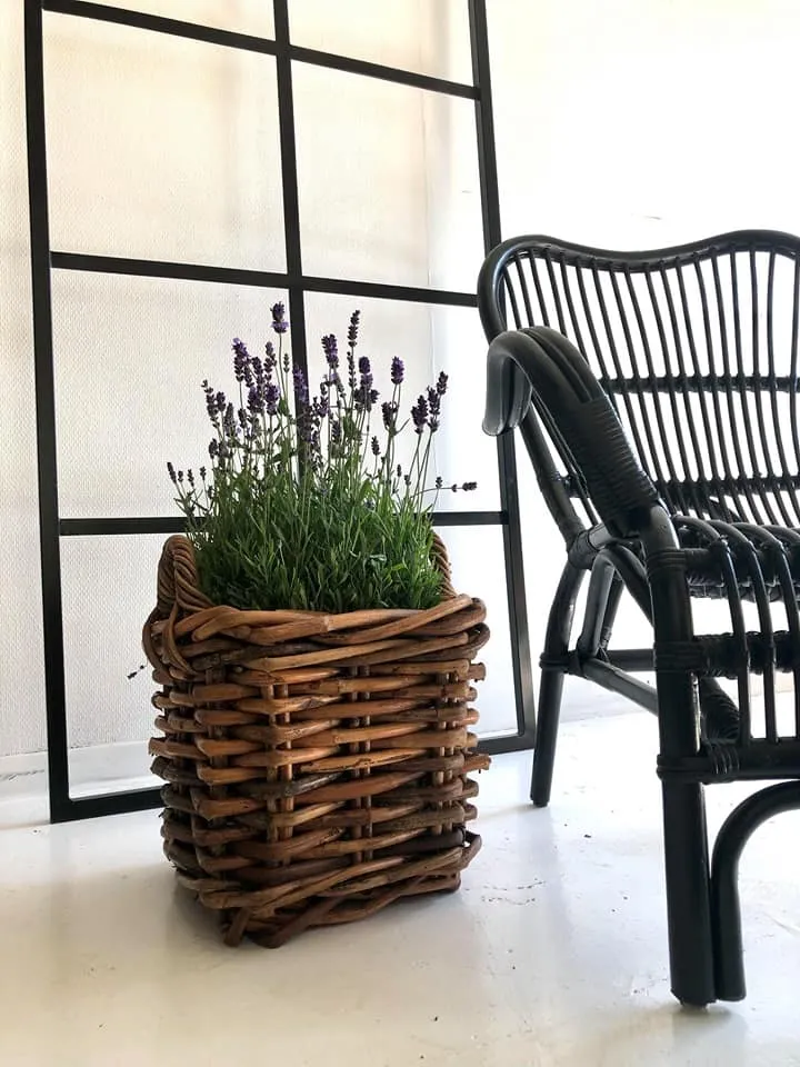 Firkantet Rustikk plantekurv – Liten – MÅ HENTES I BUTIKKEN