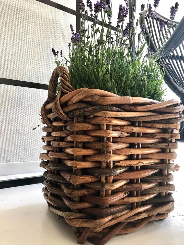 Firkantet Rustikk plantekurv – Liten – MÅ HENTES I BUTIKKEN