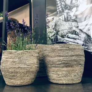 Sett med 3 flotte kurver i grå Majs