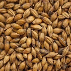 Amber Malt (110-140 EBC) 100G - Thomas Fawcett