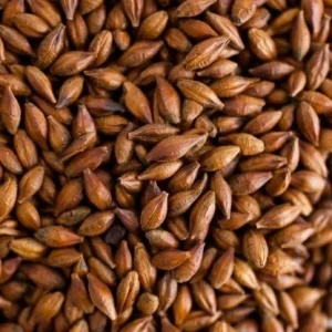 Brown Malt (175-200 EBC) 100G - Thomas Fawcett