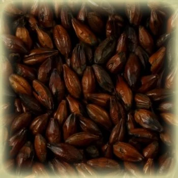 Chocolate Malt (1100-1250 EBC) 100G - Thomas Fawcett