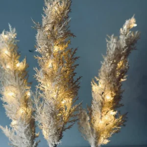 Pampas med LED-lys - 118 cm