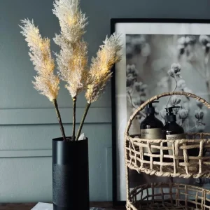 Pampas med LED-lys og timerfunksjon