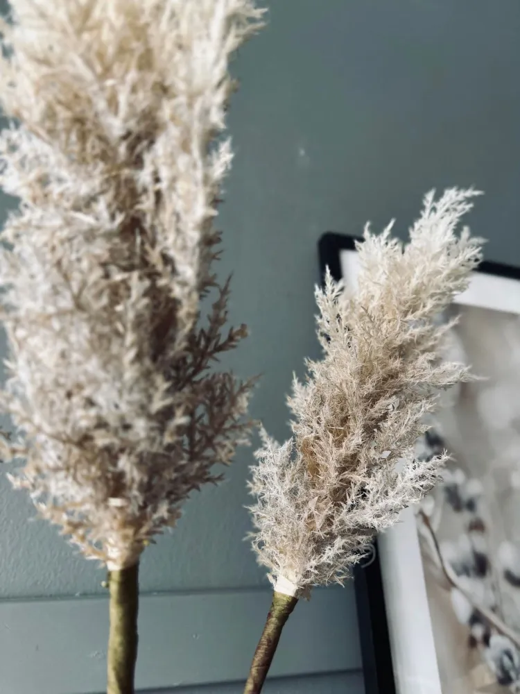 Pampas med LED-lys og timerfunksjon