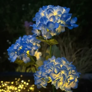 Hortensia med solceller – Blå