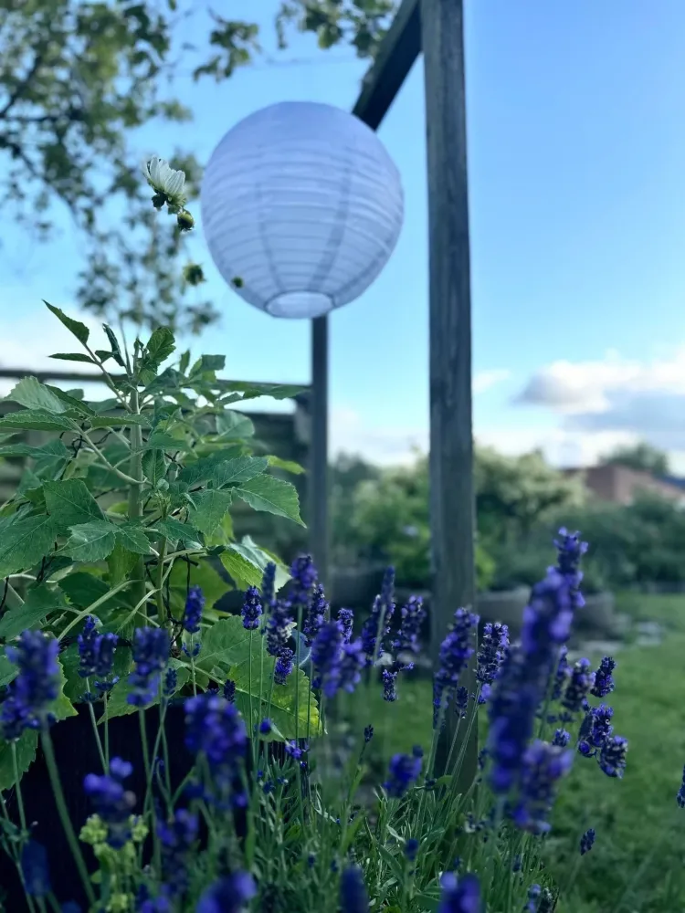 Lyskule med solceller
