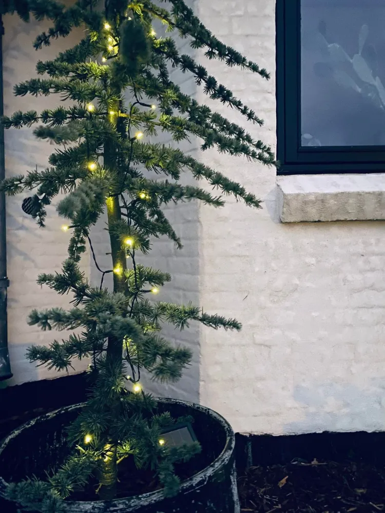 Lyskjede med 50 LED-lys - solceller - Ekstra kraftig