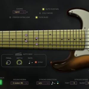 SC Electric Guitar 2