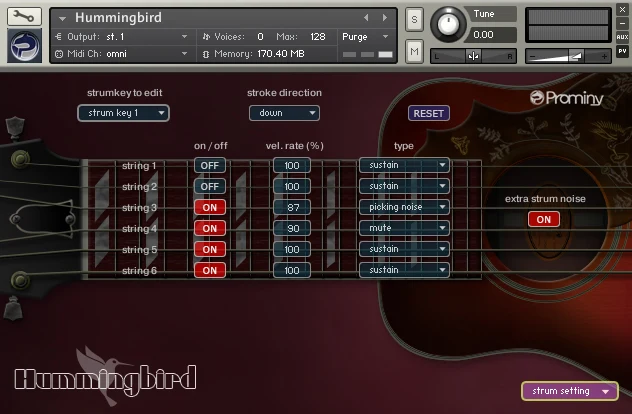 Hummingbird Acoustic Guitar