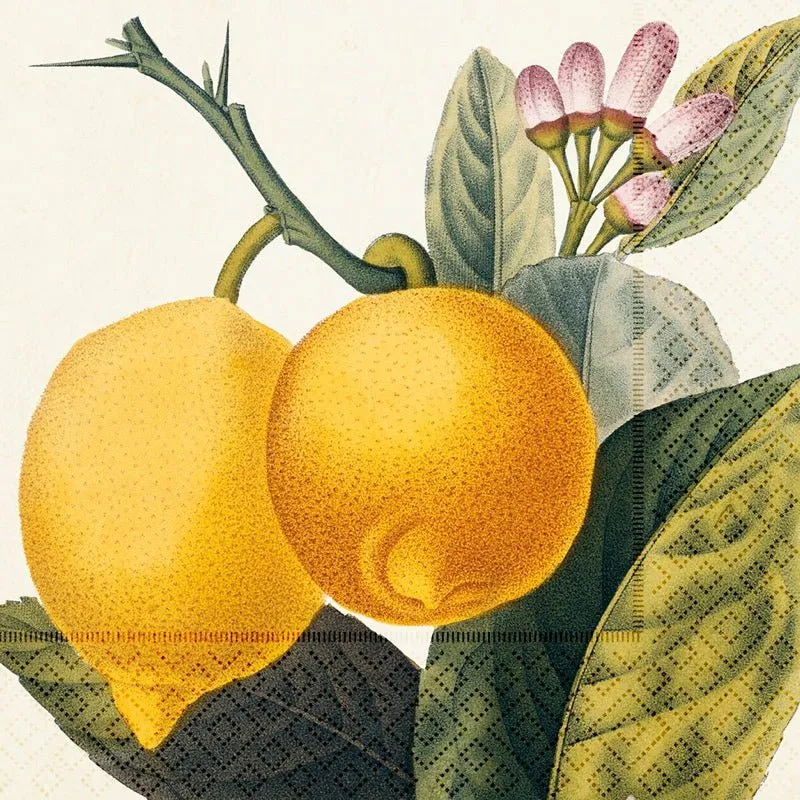 Lunchservietter - 33x33 cm / Citroner