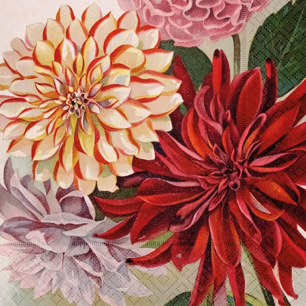 Lunchservietter - 33x33 cm / Dahlia